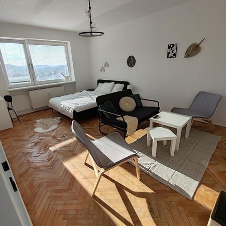 Apartman Brezinova 브르노 외부 사진