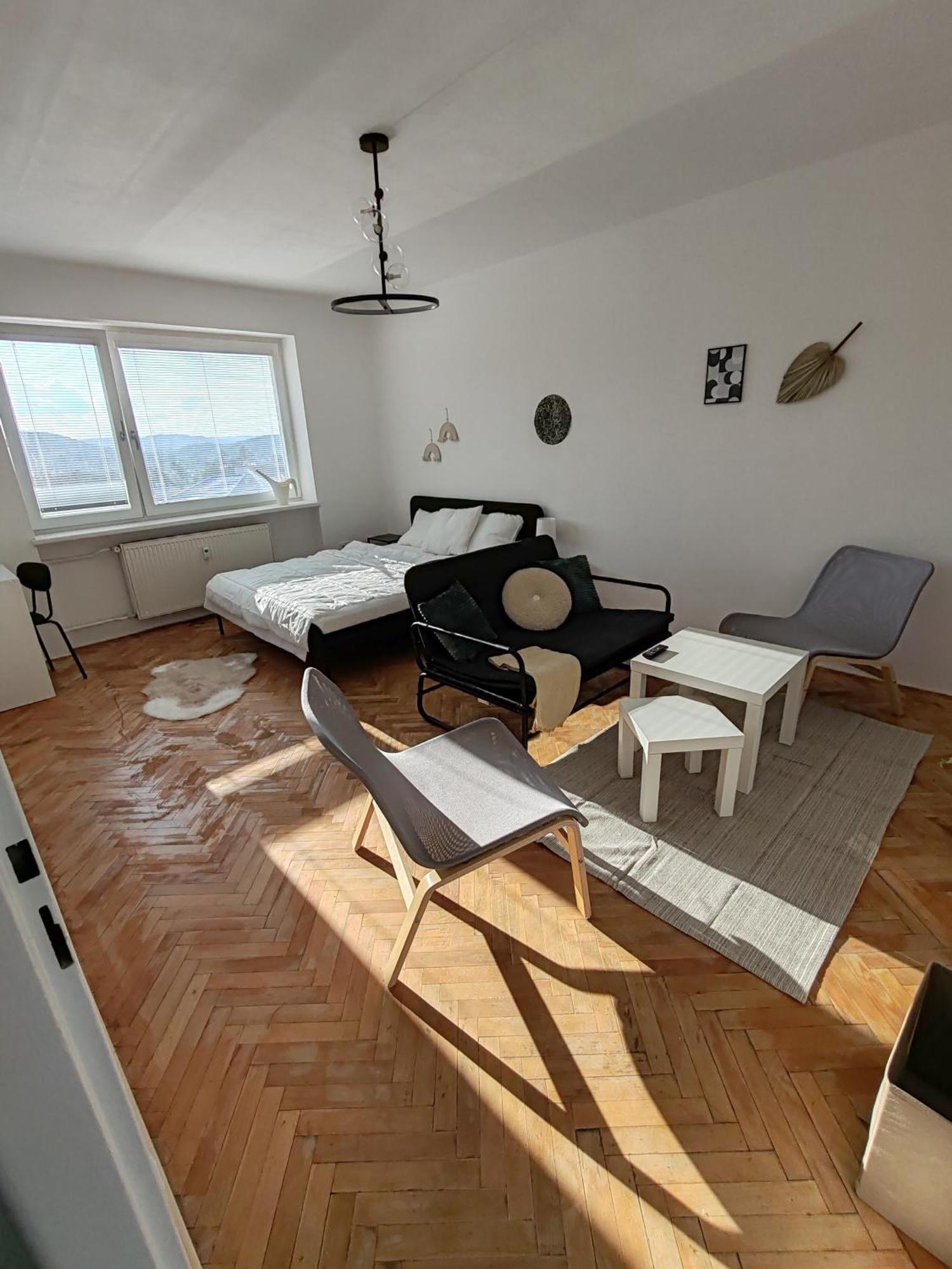 Apartman Brezinova 브르노 외부 사진